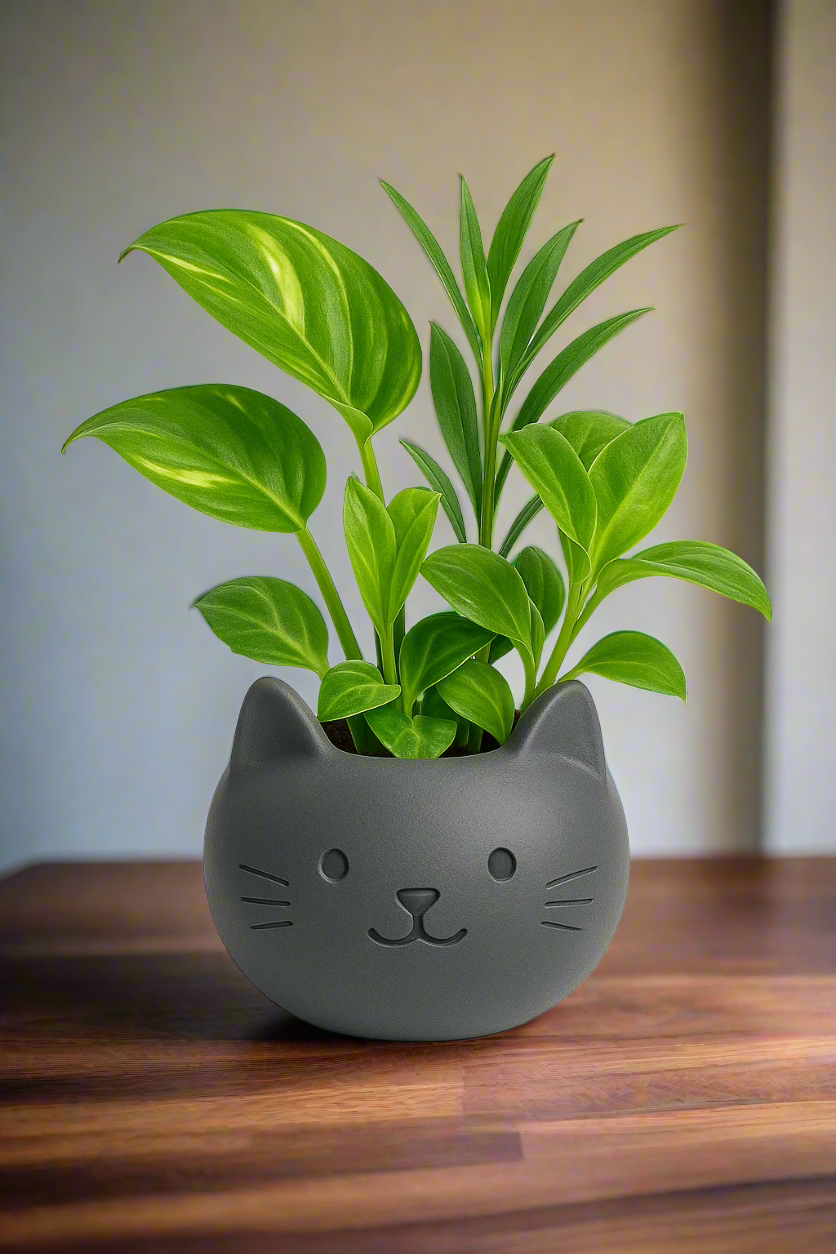 Build Your Own Cat Pot - Mini Charcoal Grey
