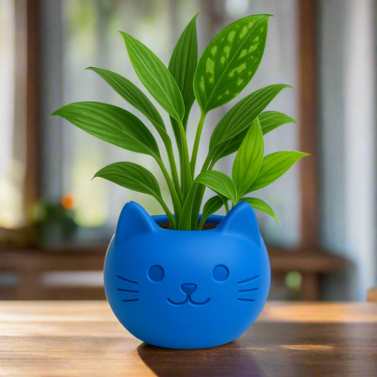 Build Your Own Cat Pot - Mini Royal Blue