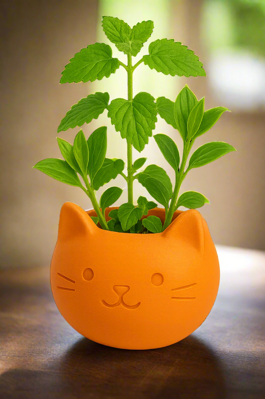 Build Your Own Cat Pot - Mini Orange