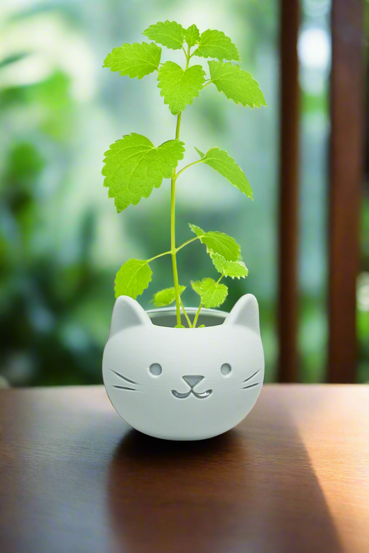 Build Your Own Cat Pot - Mini Light Grey