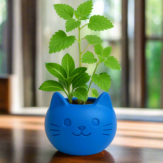 Build Your Own Cat Pot - Mini Royal Blue