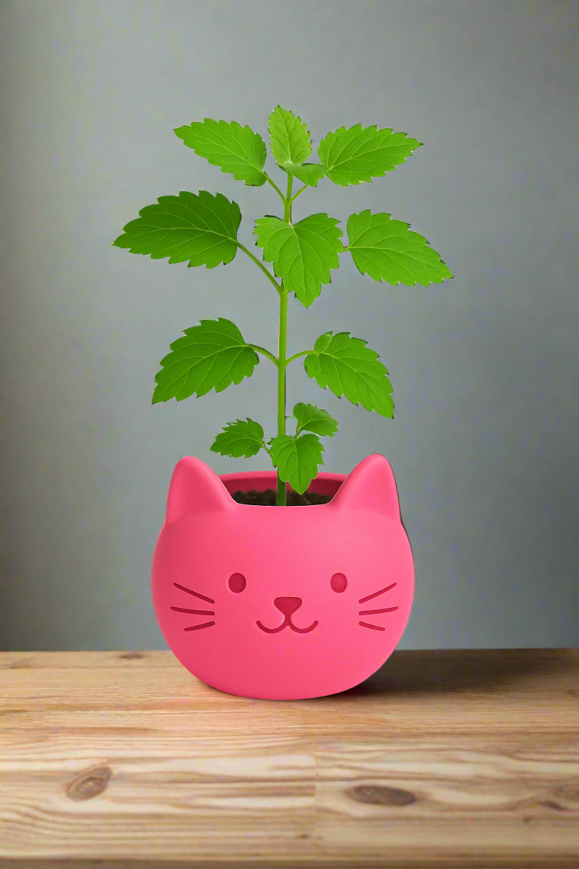 Build Your Own Cat Pot - Mini Hot Pink